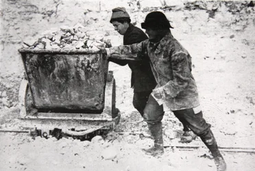 Donne lavoratrici di guerra in una contea del South Downs